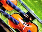 バロックバイオリン 弾き比べ | 古楽器輸入販売・ムジカアンティカ湘南 