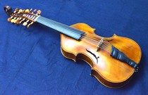 バイオリン属とビオール属のはざまで：ビオラダモーレ | 古楽器輸入 